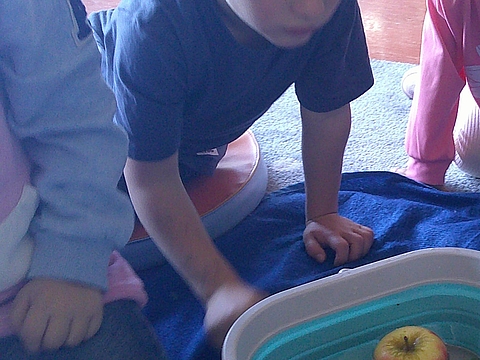 Könnenj Äpfel schwimmen?